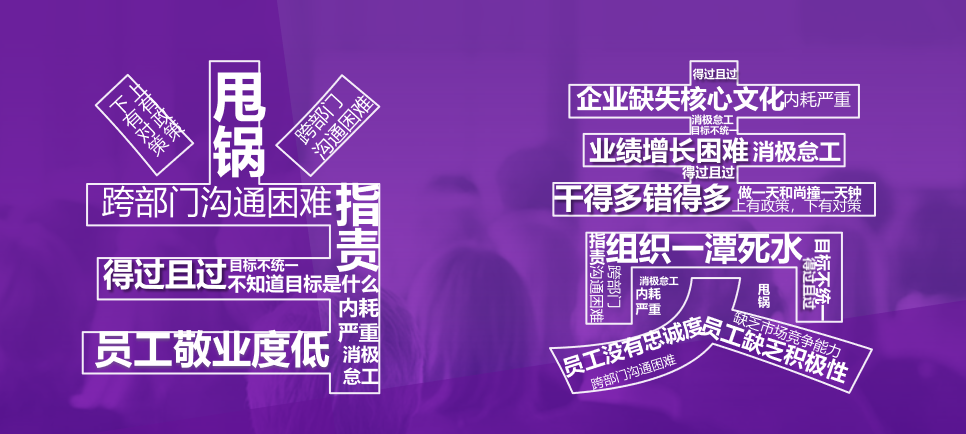 《当责文化与质量管理》丨线上工作坊完美交付，好评不断！